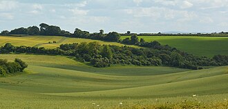 Berkshire, Buckinghamshire and Oxfordshire Wildlife Trust